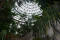 Rainforest greenhouse Dome in TaichungÃ¢â¬â¢s Botanical Garden